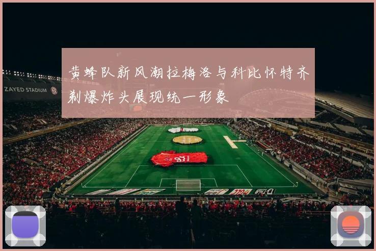 黄蜂队新风潮拉梅洛与科比怀特齐剃爆炸头展现统一形象