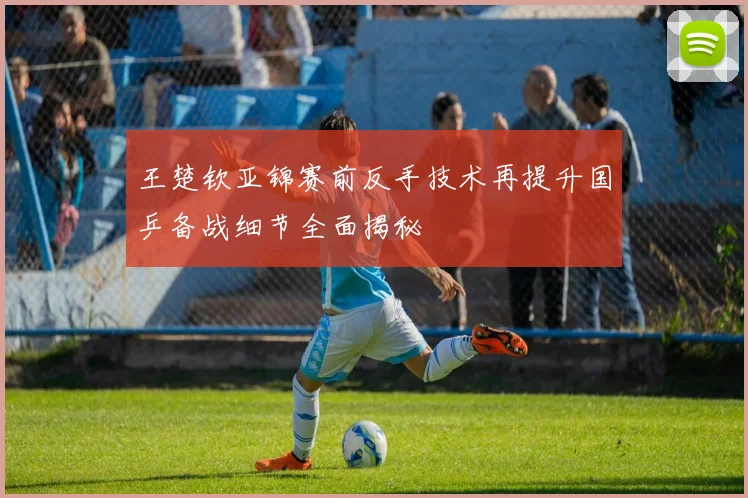王楚钦亚锦赛前反手技术再提升国乒备战细节全面揭秘