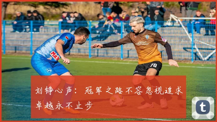 刘铮心声：冠军之路不容忽视追求卓越永不止步